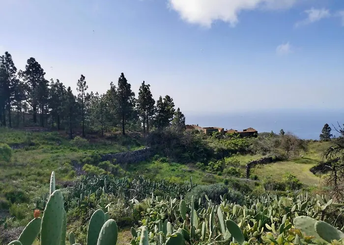 Lejlighed Tierrazul Art Boutique Caramel Diamond *