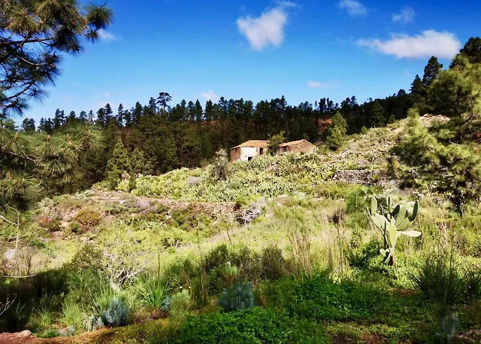 Tierrazul Art Boutique Caramel Diamond Διαμέρισμα Costa Adeje (Tenerife)