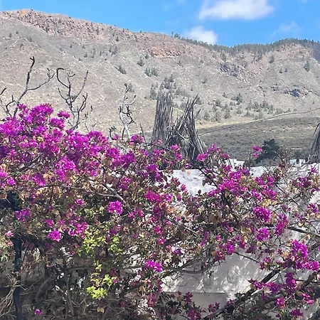 Tierrazul Art Boutique Caramel Diamond Адехе