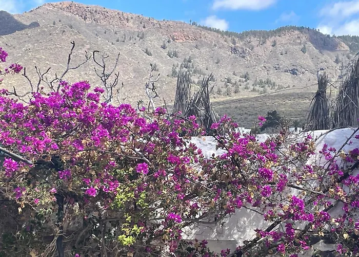 Tierrazul Art Boutique Caramel Diamond アデヘ